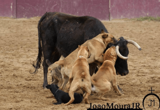 Captura de pantalla 2015-12-02 a las 15.53.27