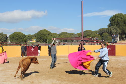 capeas despedidas de solteros Madrid Toledo 4