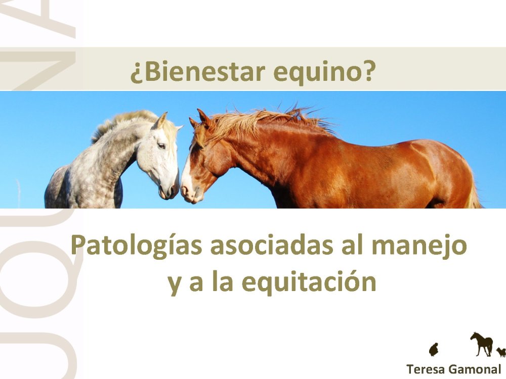 o_f0053800d00f0492_001