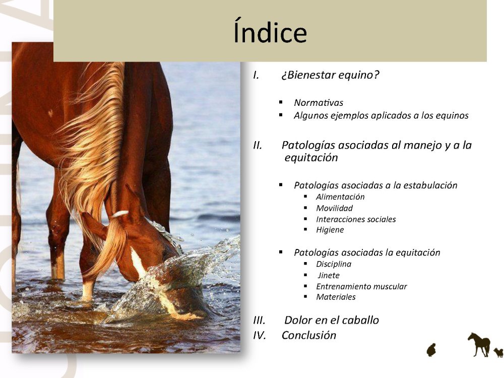 o_f0053800d00f0492_002