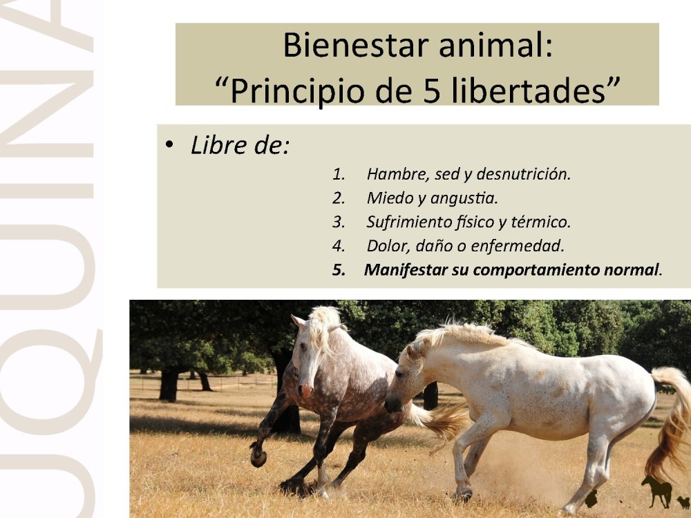 o_f0053800d00f0492_005