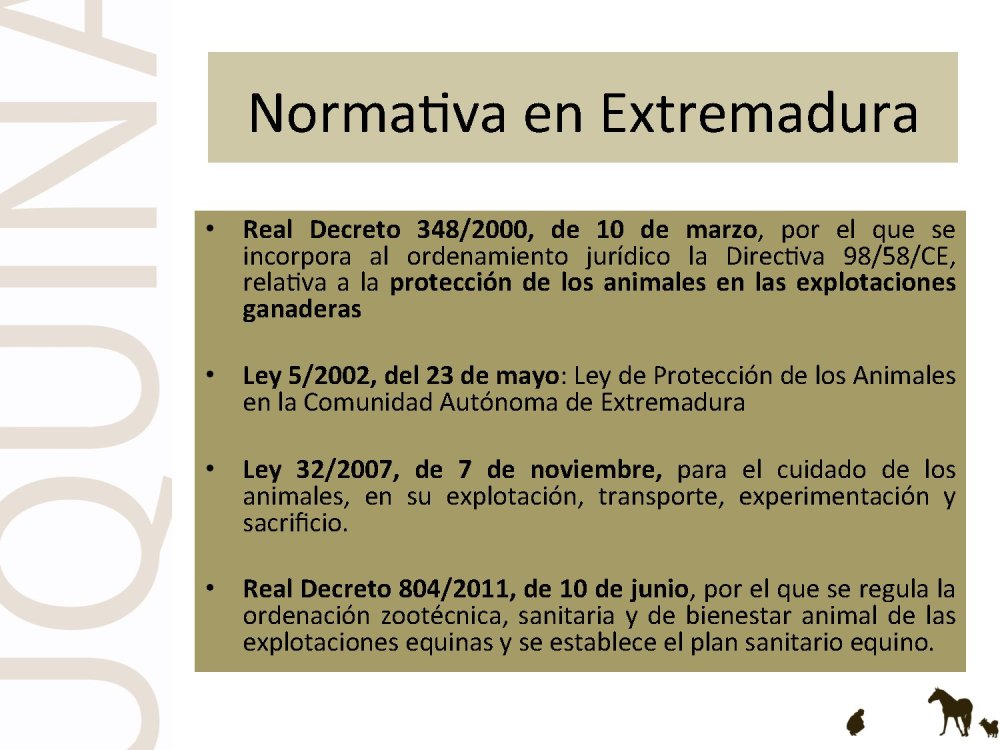 o_f0053800d00f0492_007