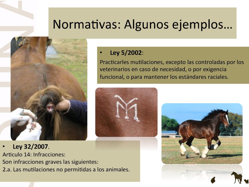 o_f0053800d00f0492_008