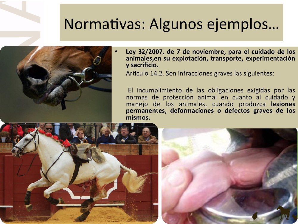 o_f0053800d00f0492_009