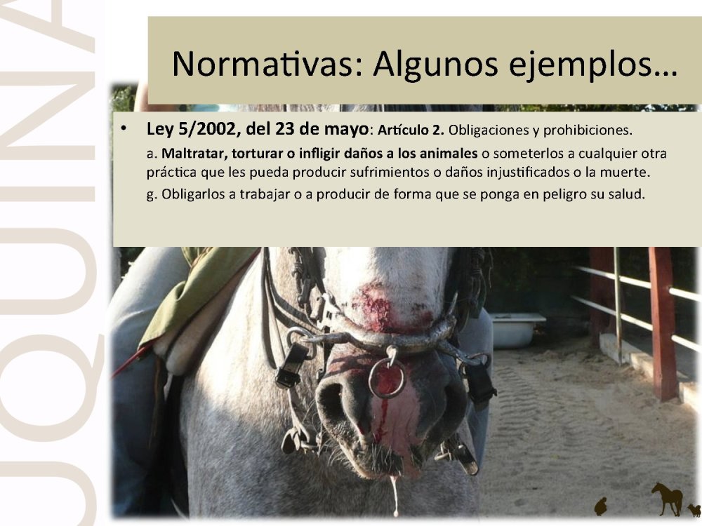 o_f0053800d00f0492_011