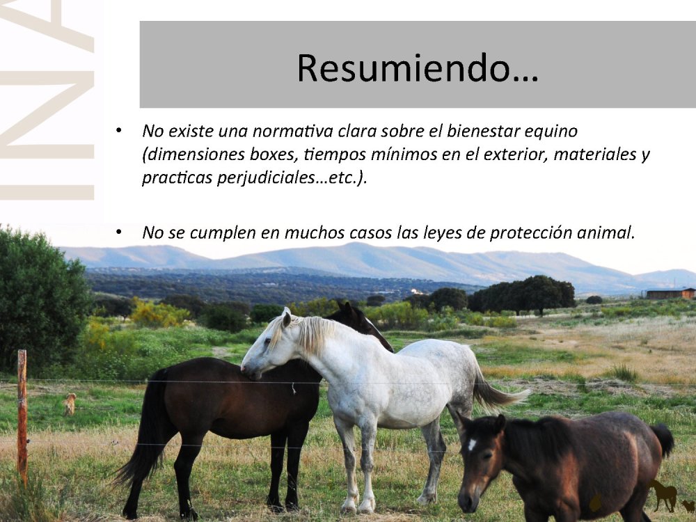 o_f0053800d00f0492_012