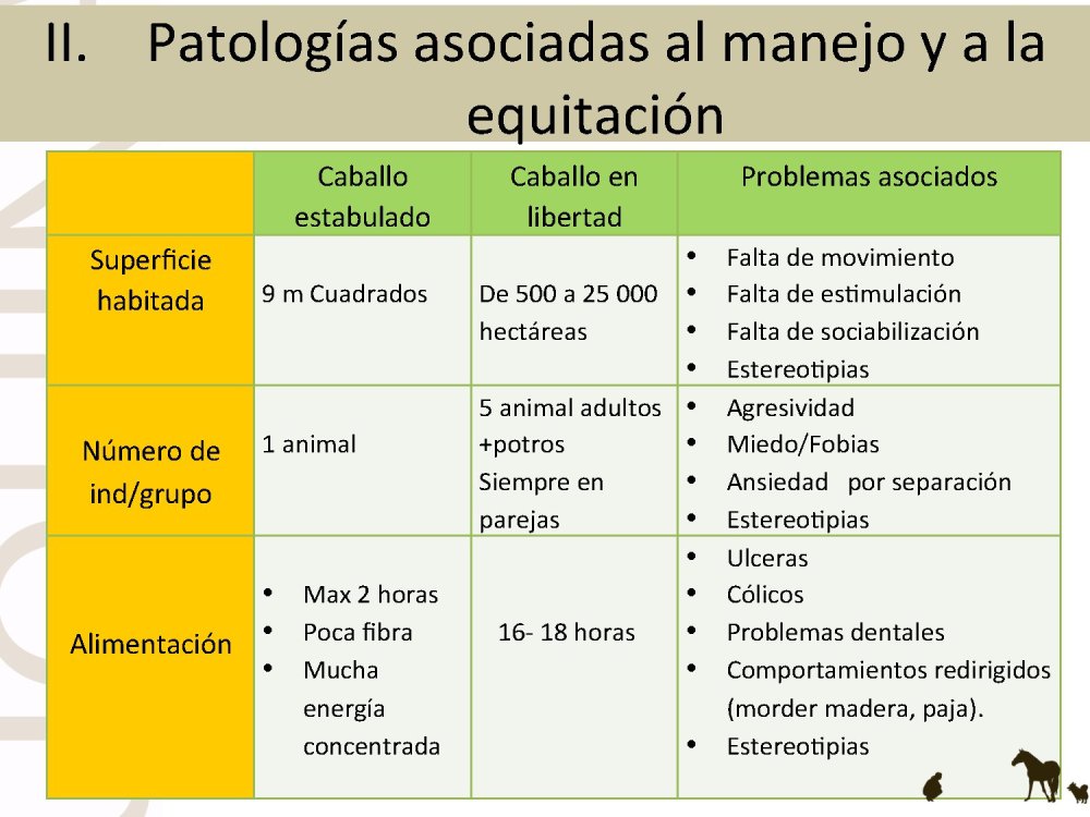 o_f0053800d00f0492_015