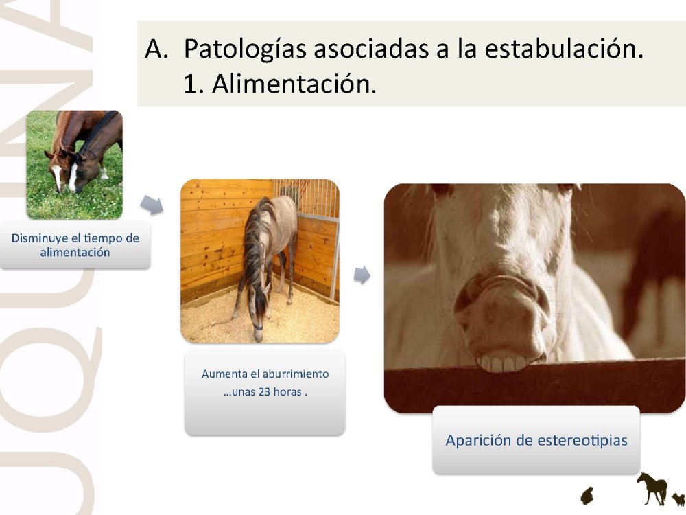 o_f0053800d00f0492_019