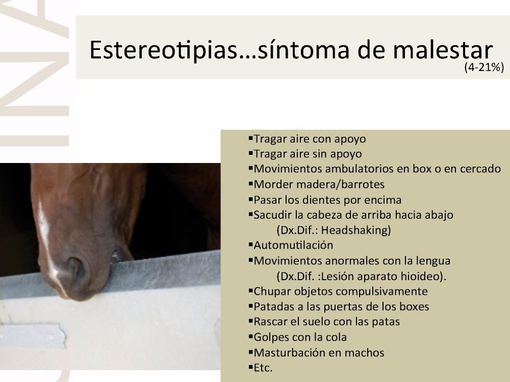 o_f0053800d00f0492_020