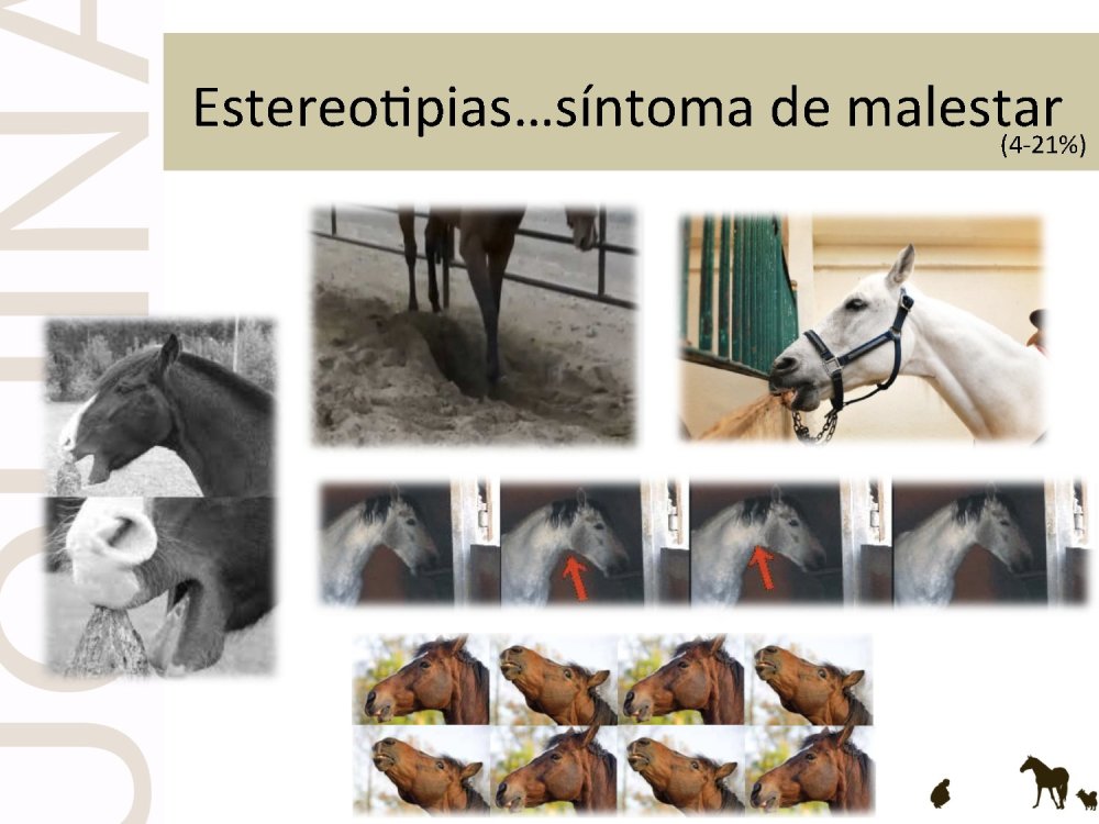 o_f0053800d00f0492_021