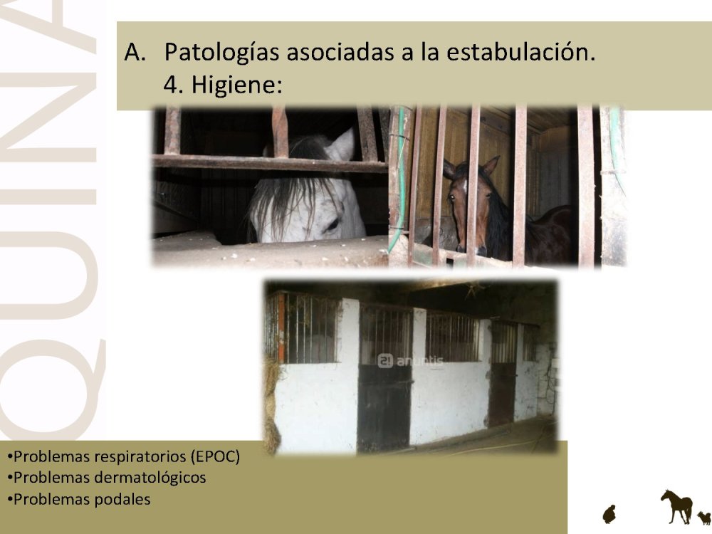 o_f0053800d00f0492_026