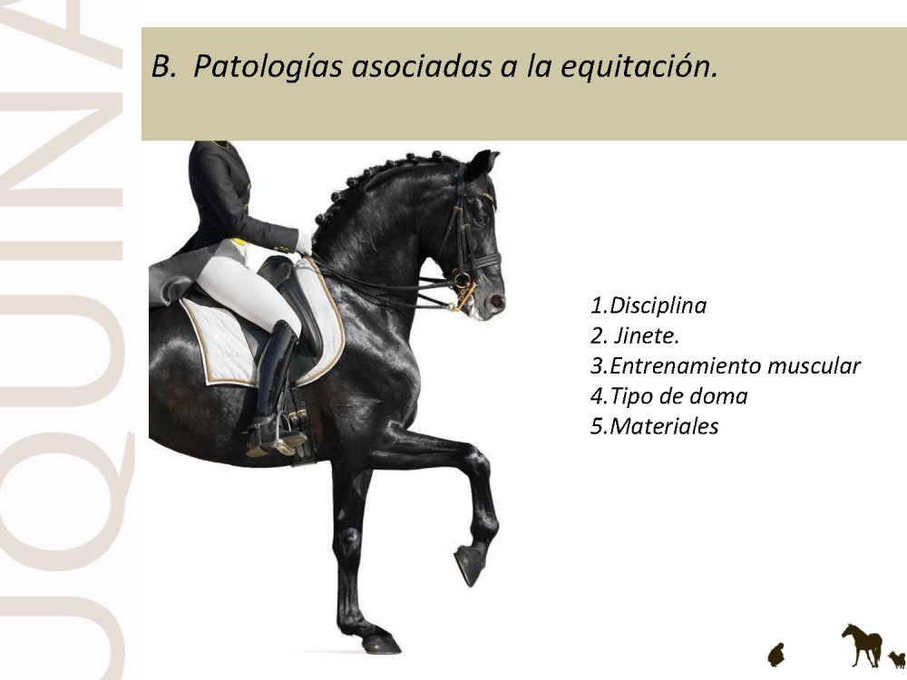 o_f0053800d00f0492_027