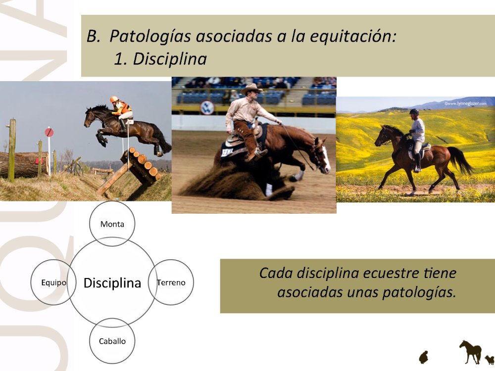 o_f0053800d00f0492_028