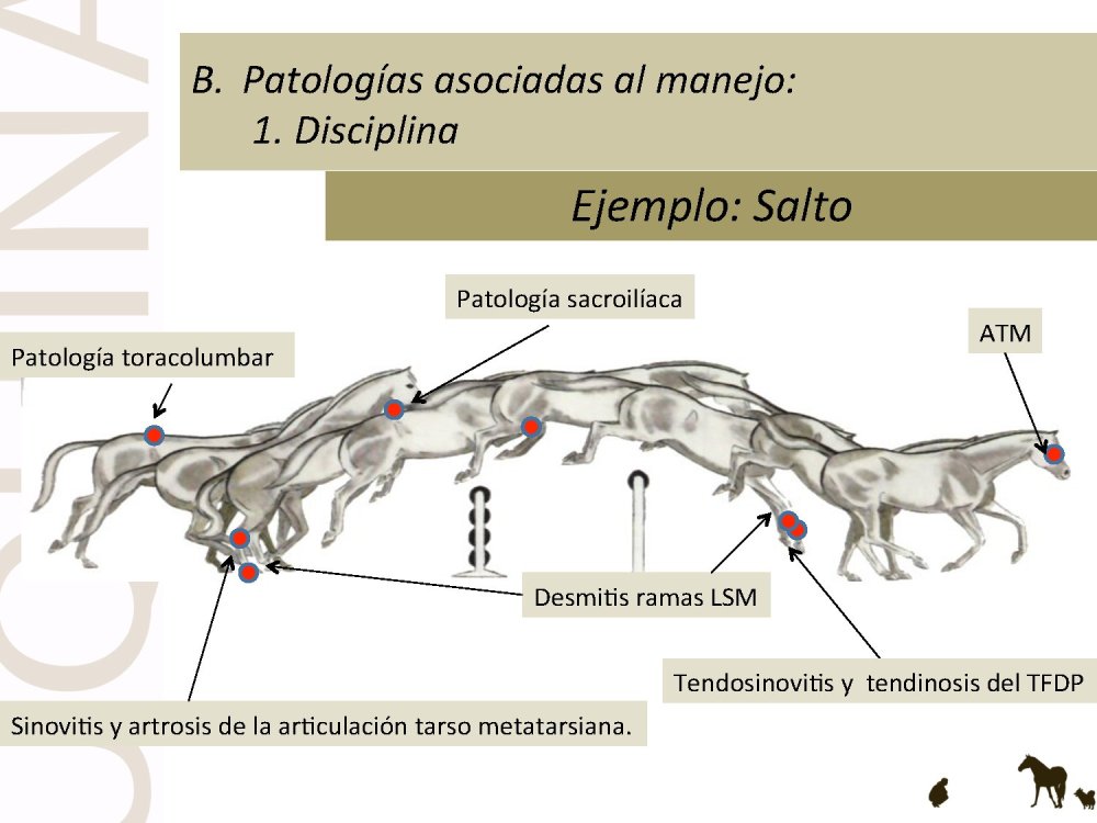 o_f0053800d00f0492_029