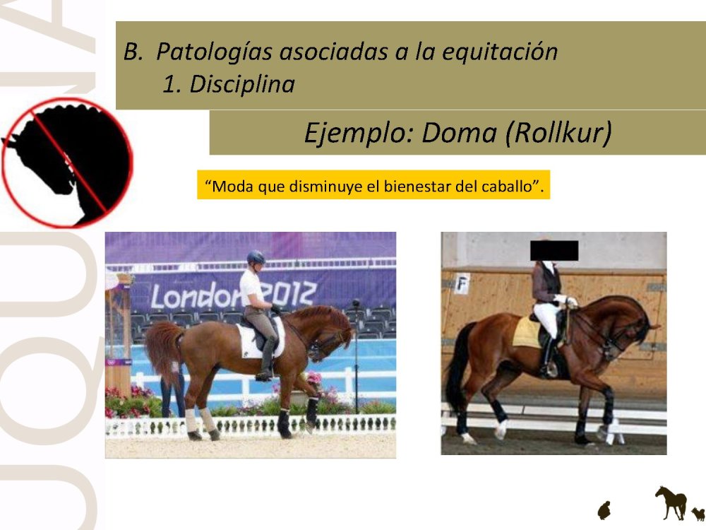 o_f0053800d00f0492_032