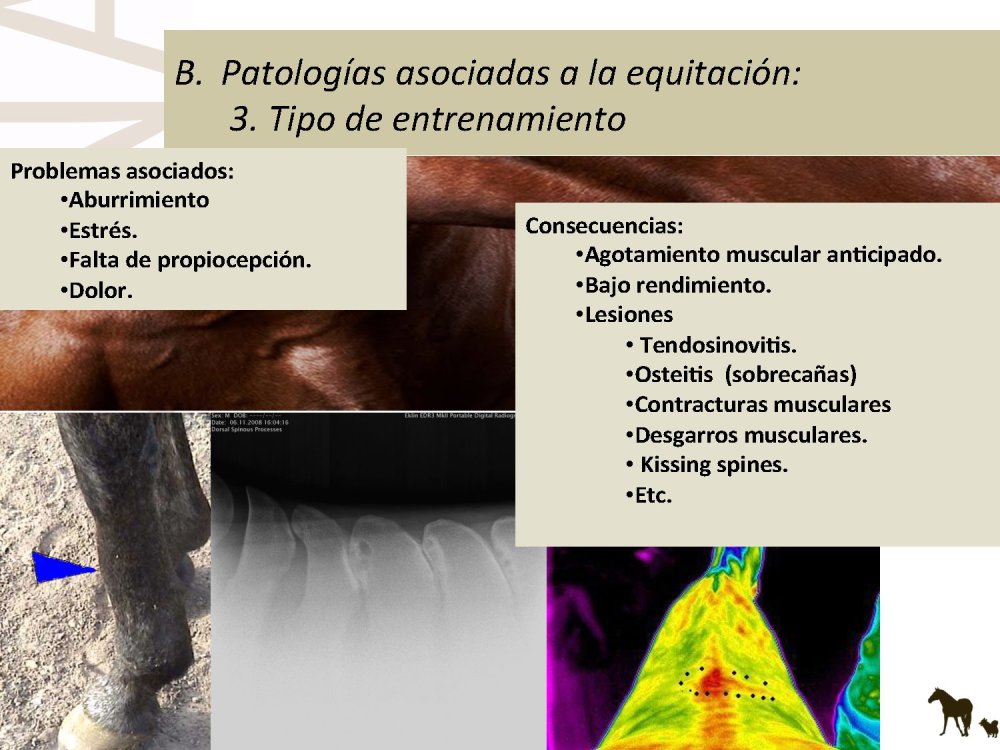 o_f0053800d00f0492_036