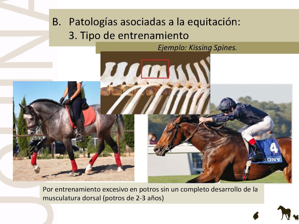 o_f0053800d00f0492_037