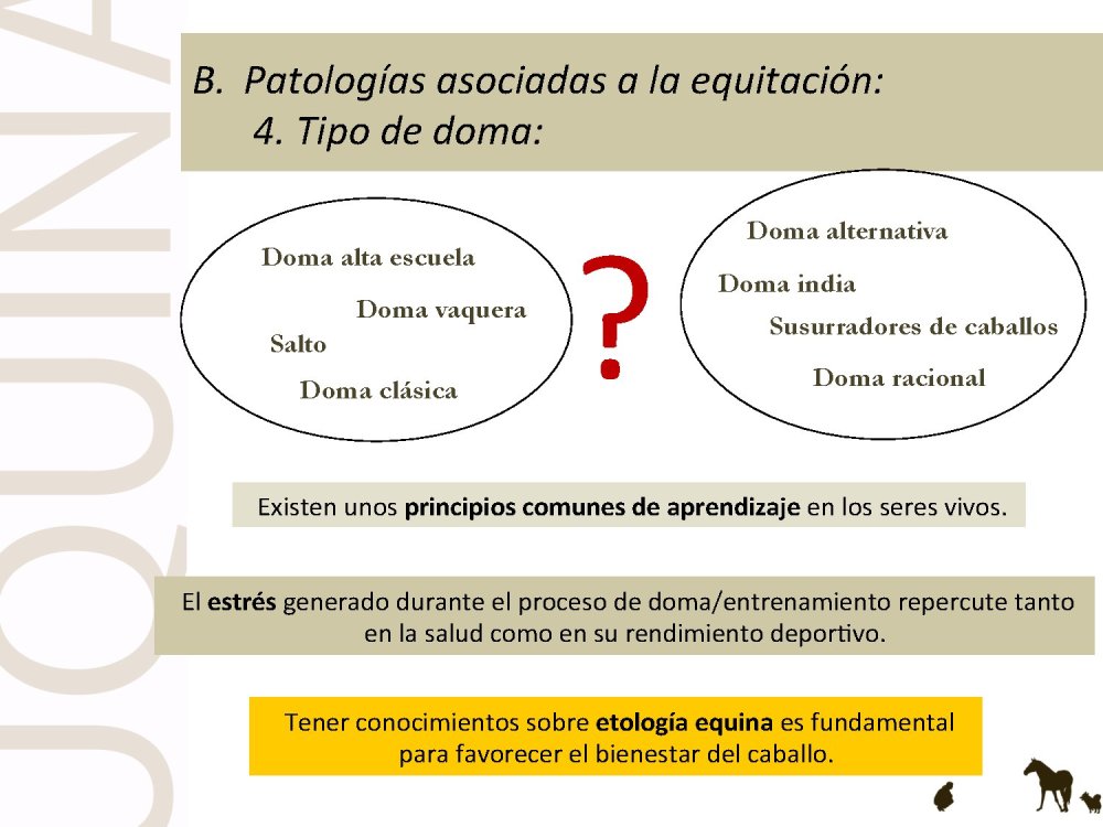 o_f0053800d00f0492_039