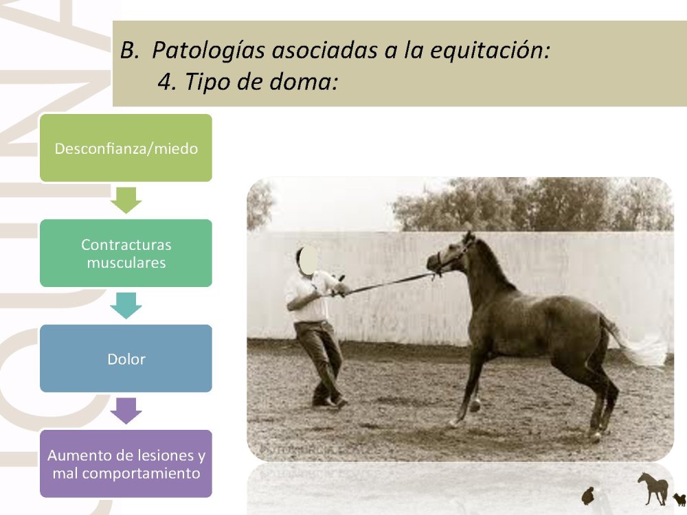 o_f0053800d00f0492_041