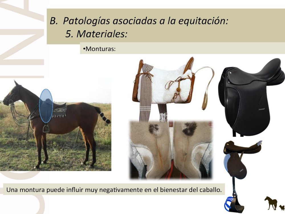 o_f0053800d00f0492_042