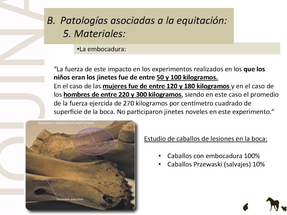 o_f0053800d00f0492_046