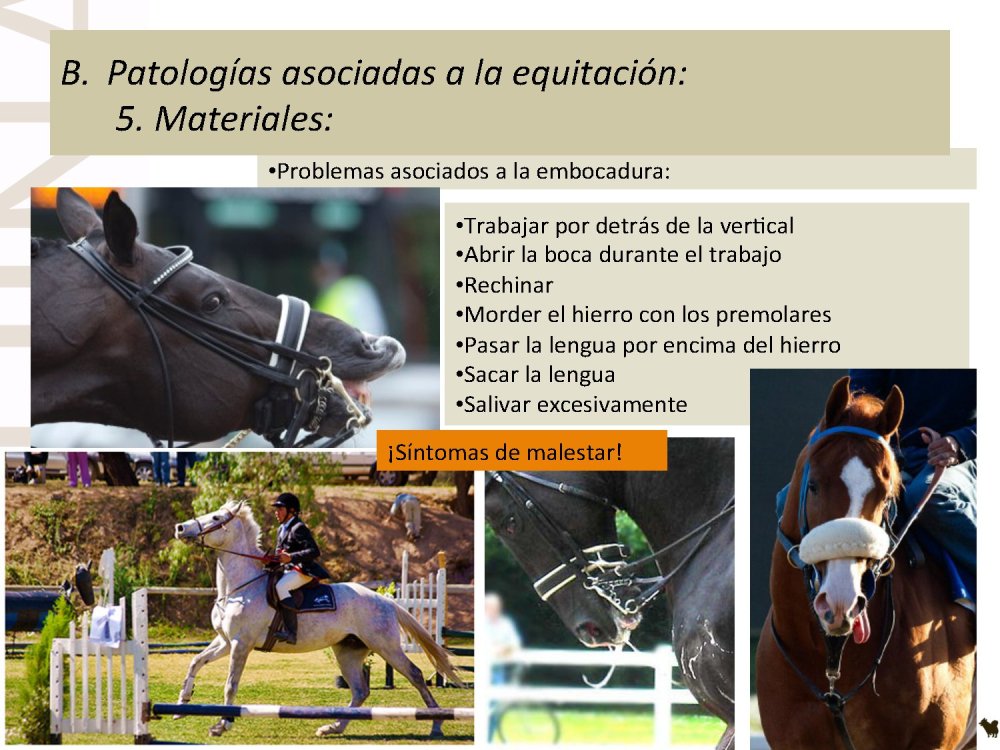 o_f0053800d00f0492_047