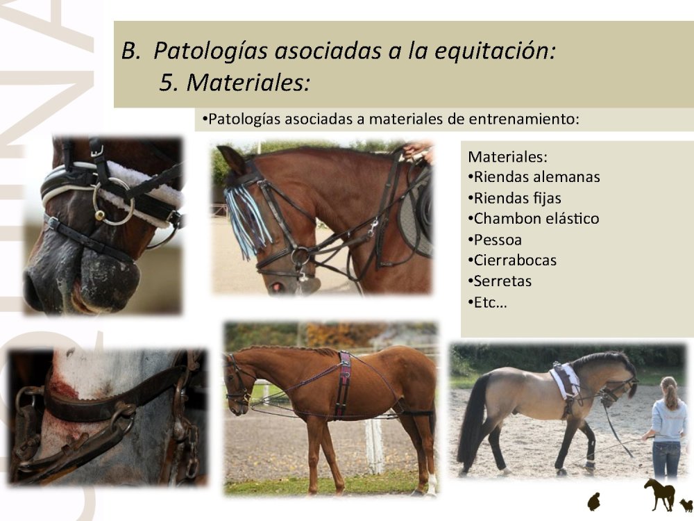 o_f0053800d00f0492_048