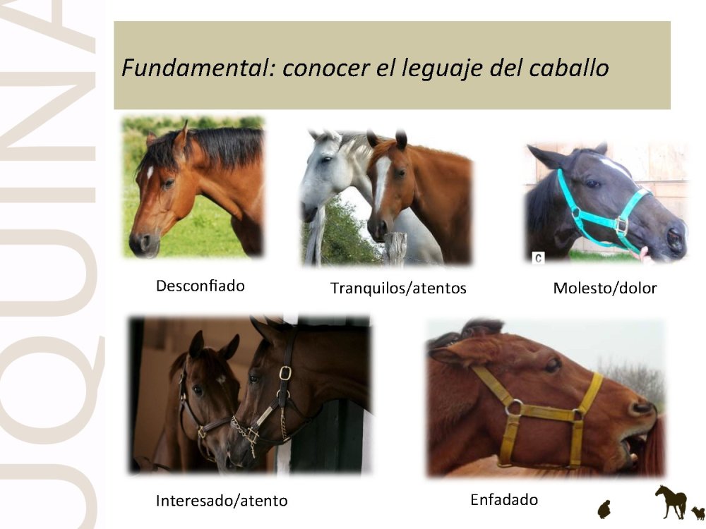 o_f0053800d00f0492_053