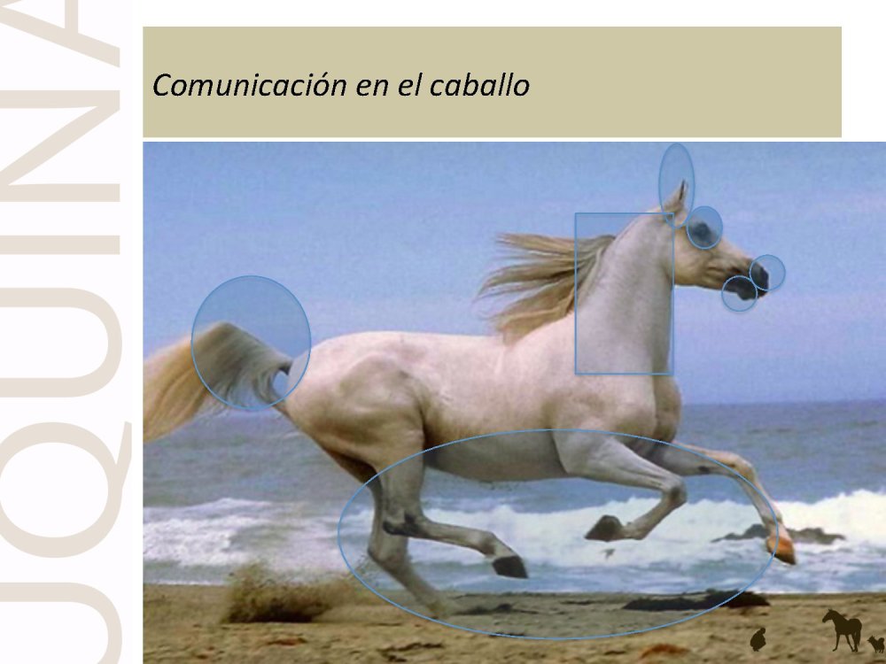 o_f0053800d00f0492_054