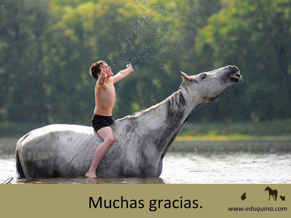 o_f0053800d00f0492_057