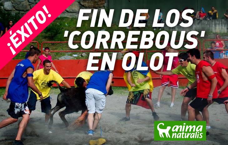 13331126_1179078028783280_8544639078302143775_n