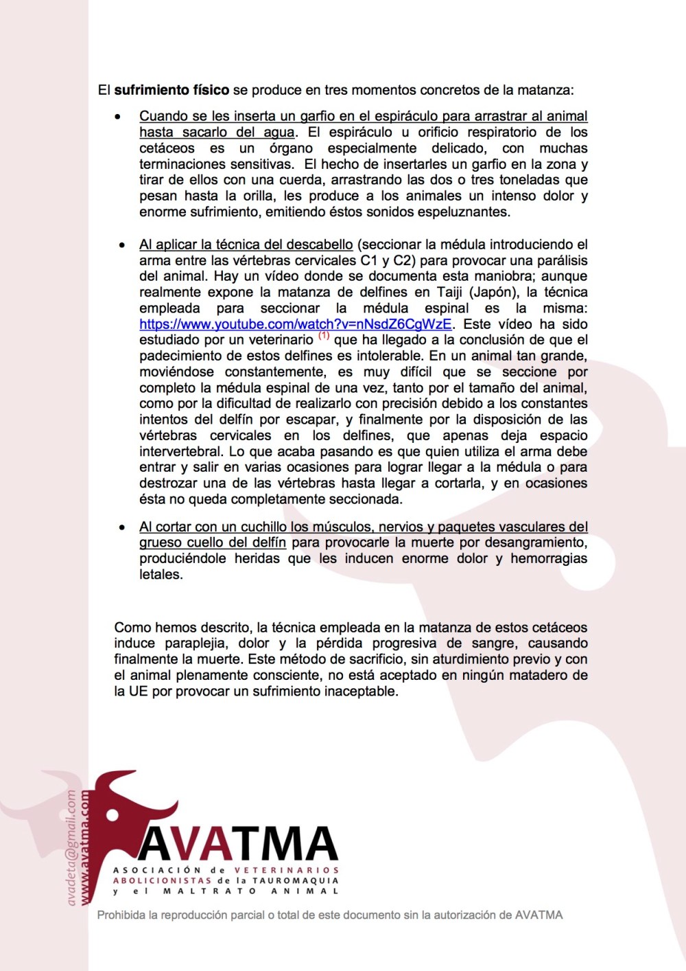 Informe AVATMA delfines Feroe5
