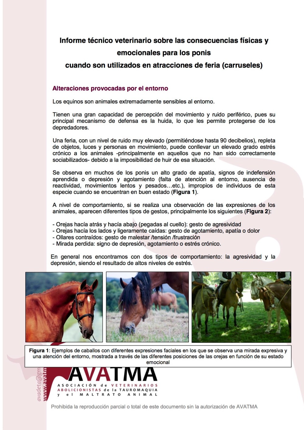 Informe carruseles ponis1