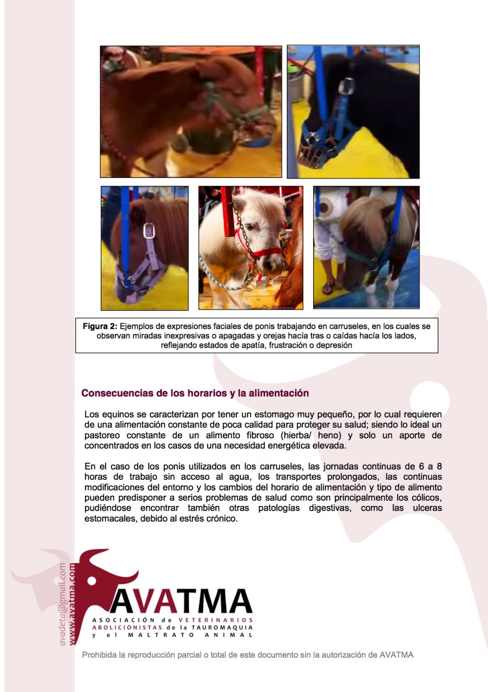 Informe carruseles ponis2