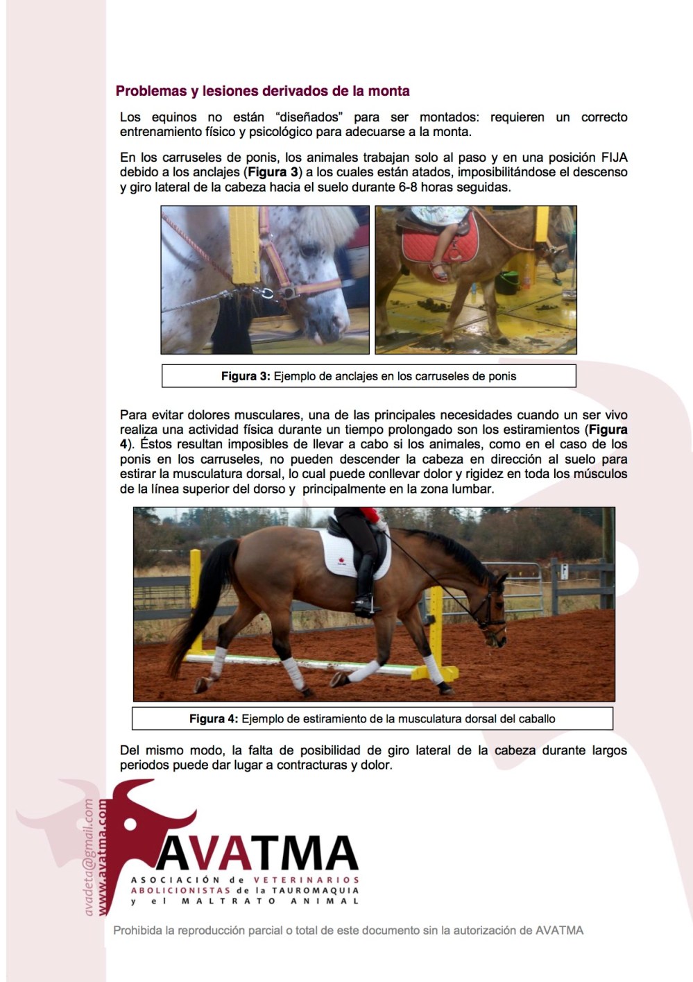 Informe carruseles ponis3