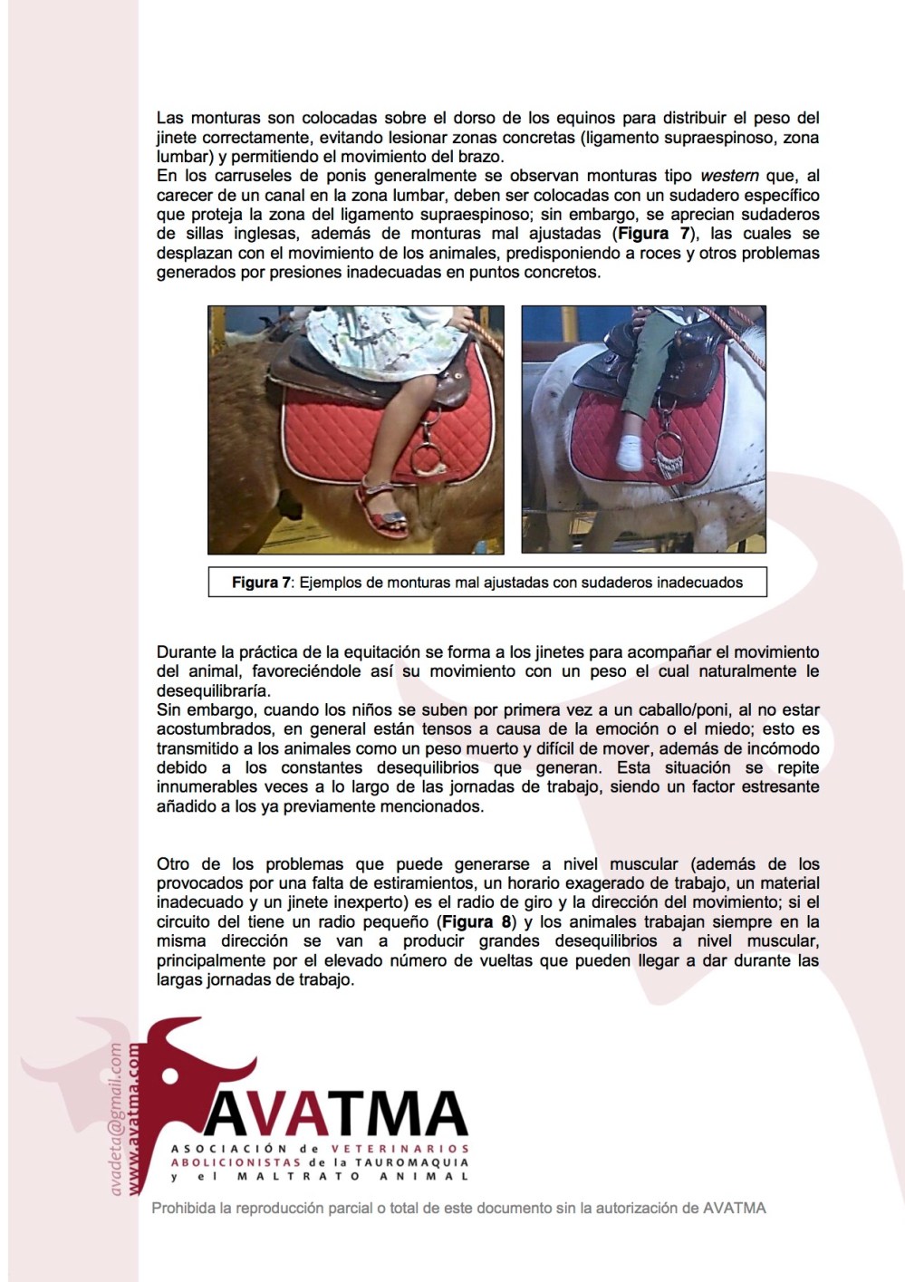 Informe carruseles ponis5