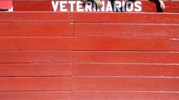 publi-veterinarios--575x323