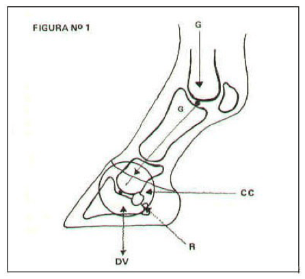 Captura de pantalla 2016-07-19 a las 10.53.11