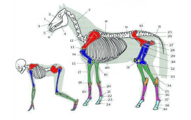 Captura de pantalla 2016-07-19 a las 10.53.34