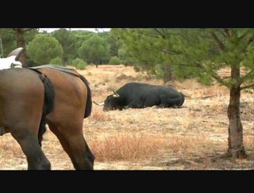 14322585_10208690586841195_2393860838312034585_n