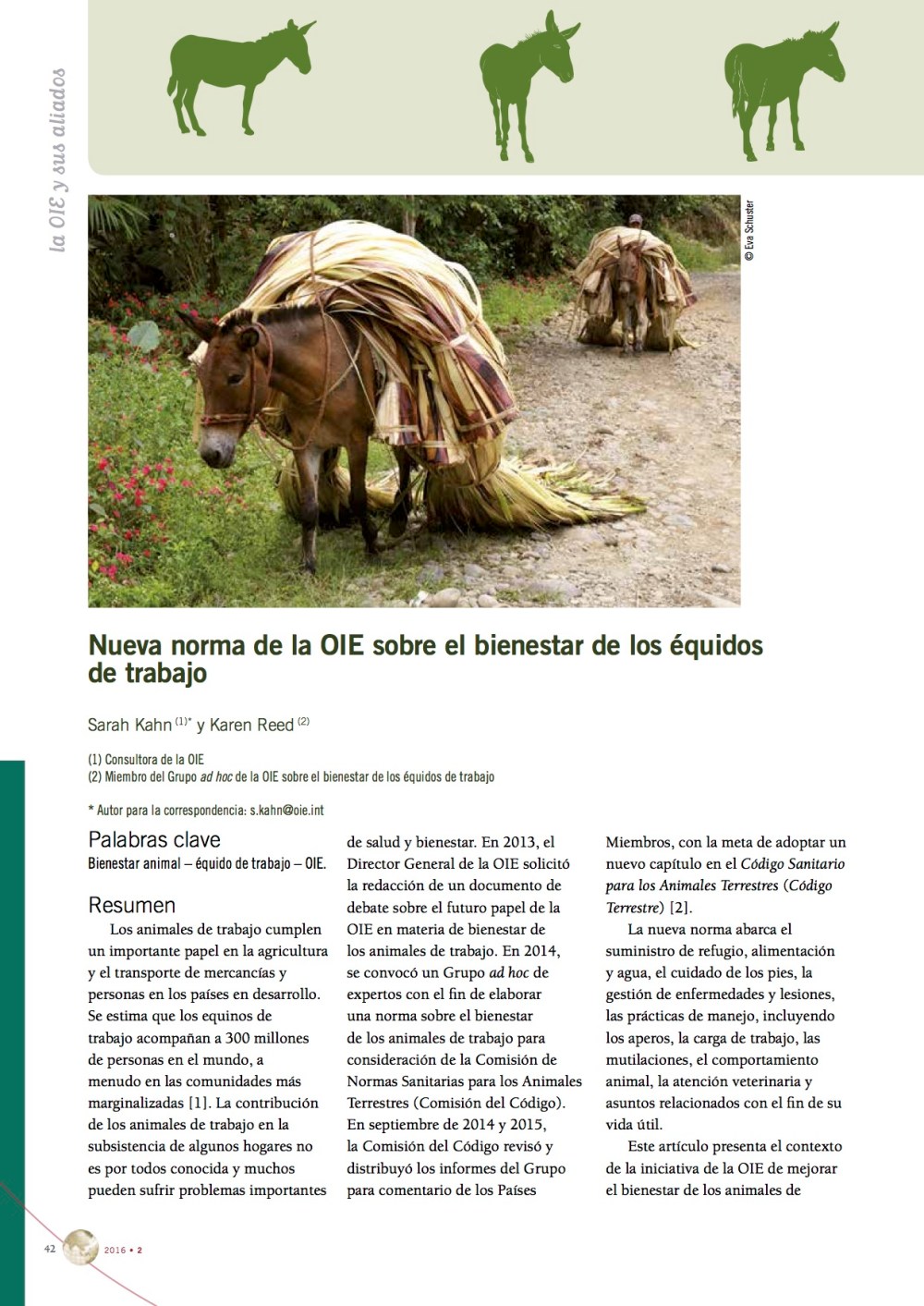 3667bienestarequidosoie1