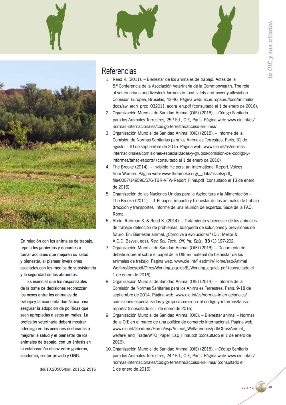 3667bienestarequidosoie8