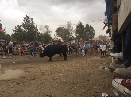 captura-de-pantalla-2016-09-13-a-las-22-46-38