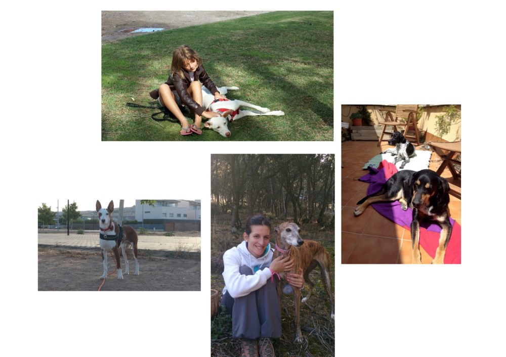 avatma-presentacion-pequenita12