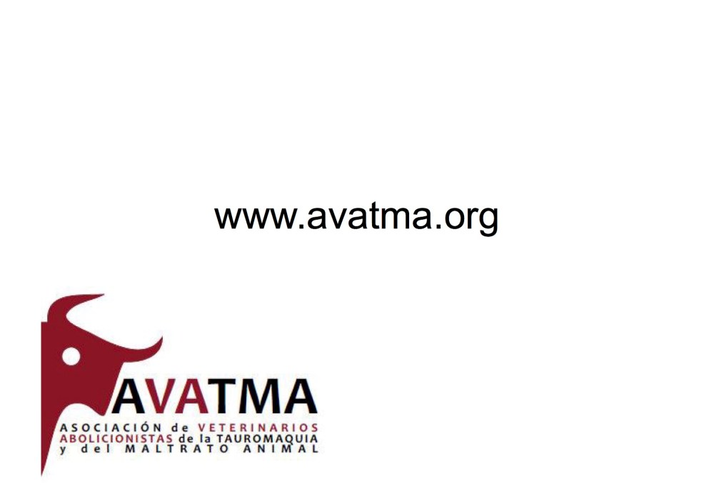 avatma-presentacion-pequenita13