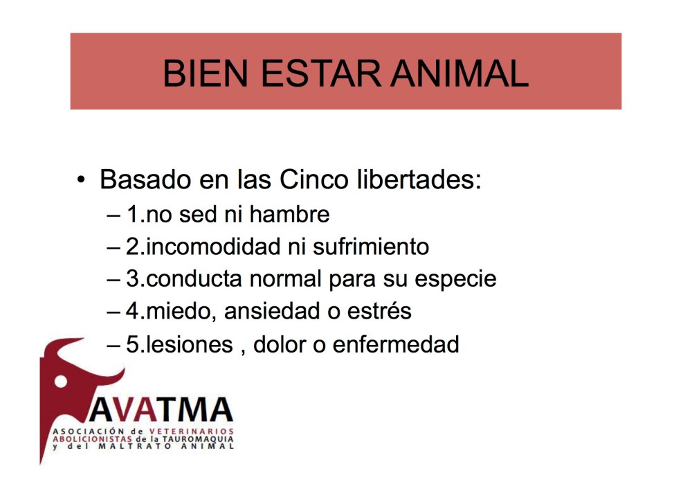 avatma-presentacion-pequenita2