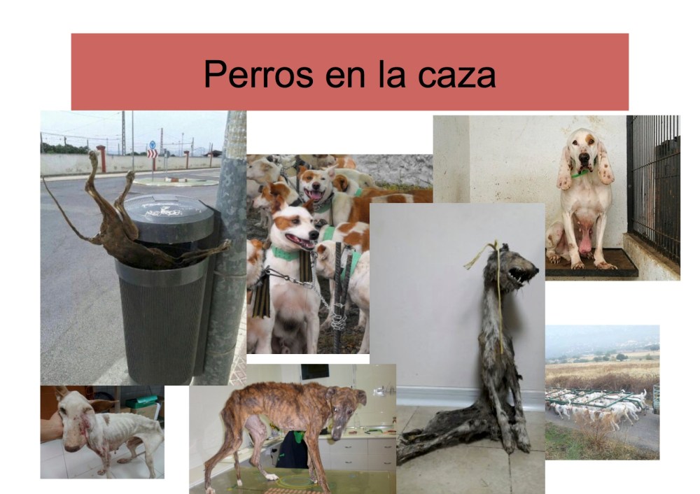 avatma-presentacion-pequenita3