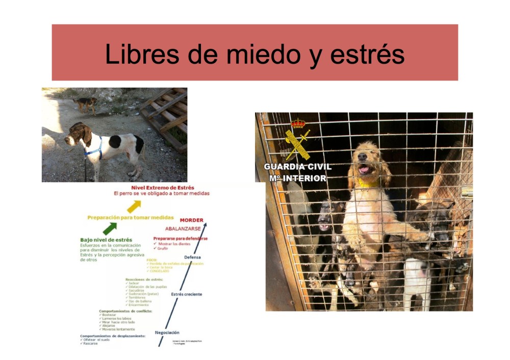 avatma-presentacion-pequenita7