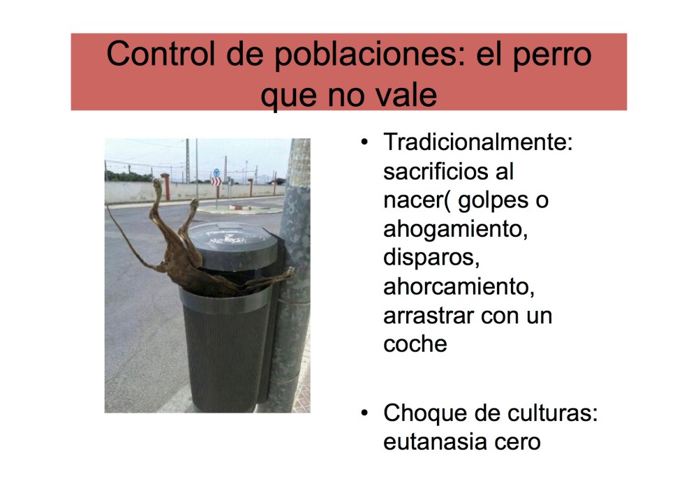 avatma-presentacion-pequenita9