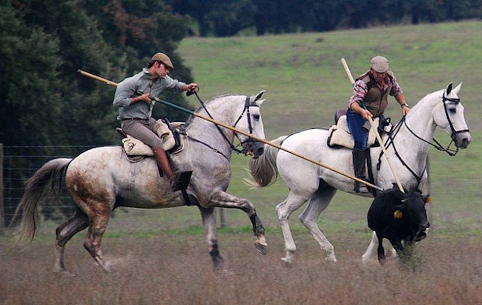 10439379_870211503012414_5330282254515461564_n